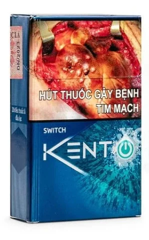 Vietnamese Kent Switch - FLUX AUD